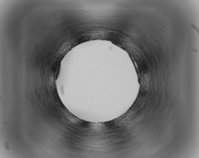 X0000096720333200803041407