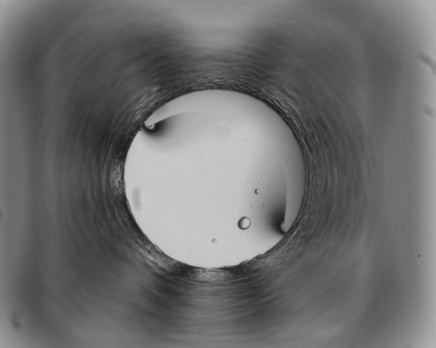 X0000096720336200803041406