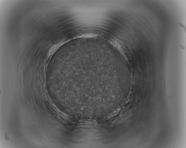 X0000096720337200803041406