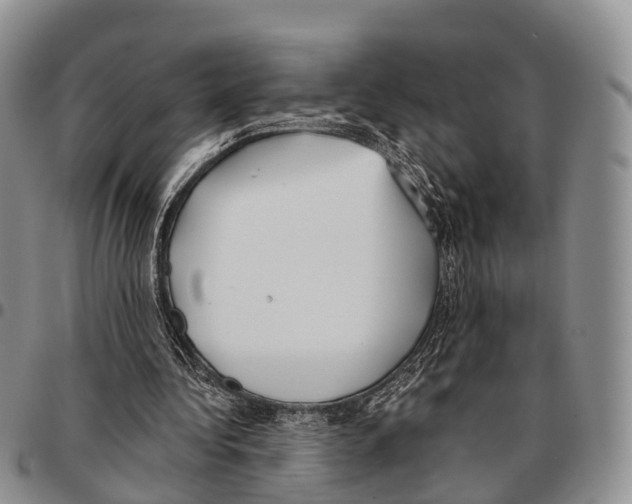 X0000096720340200803041406