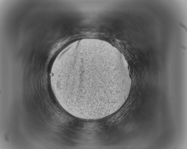 X0000096720342200803041406