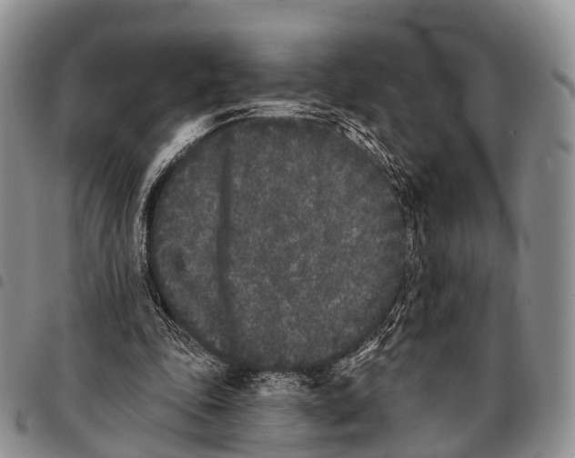 X0000096720343200803041406