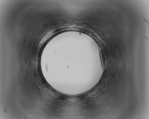 X0000096720344200803041406