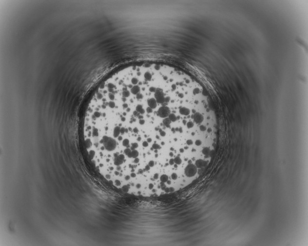 X0000096720346200803041406