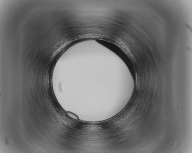 X0000096720348200803041406