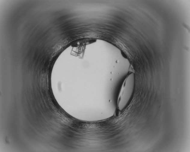 X0000096720349200803041406