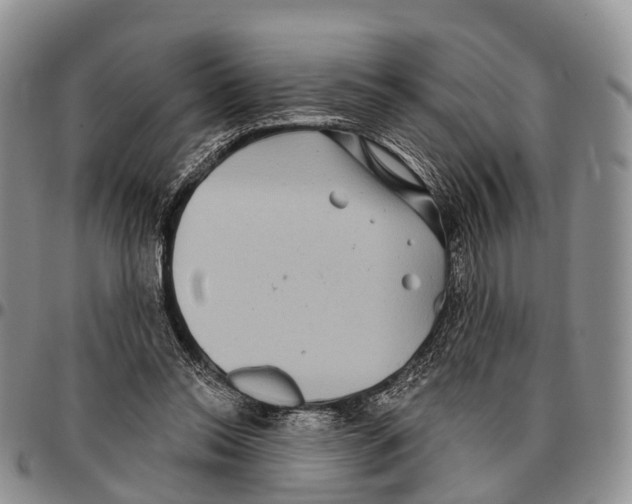 X0000096720350200803041406