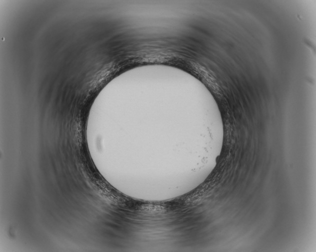 X0000096720354200803041406