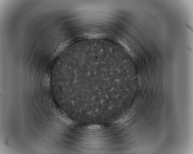 X0000096720357200803041406