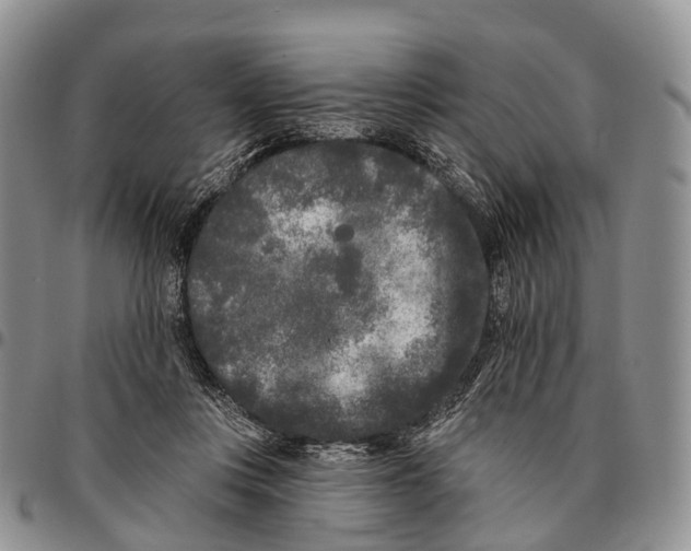 X0000096720359200803041406