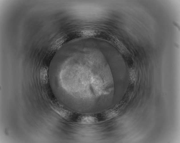 X0000096720360200803041406