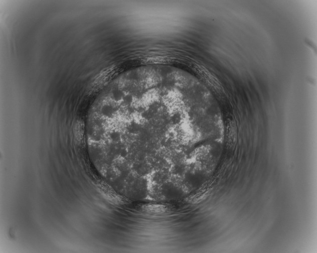 X0000096720361200803041406