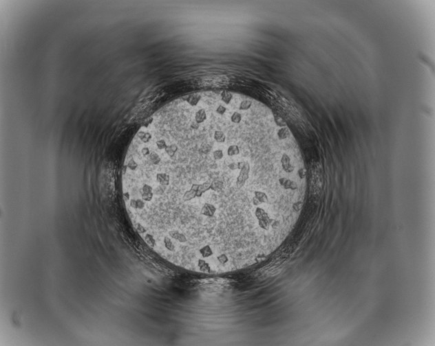 X0000096720363200803041406