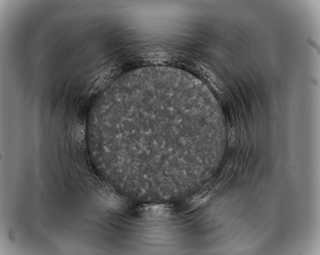 X0000096720365200803041406