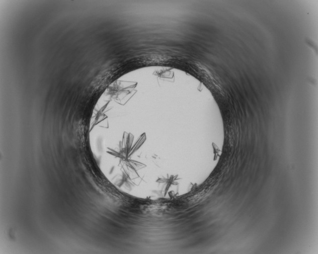 X0000096720366200803041406