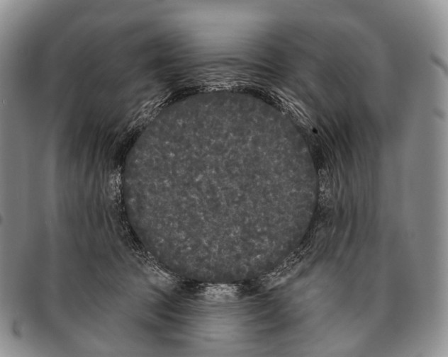 X0000096720369200803041406