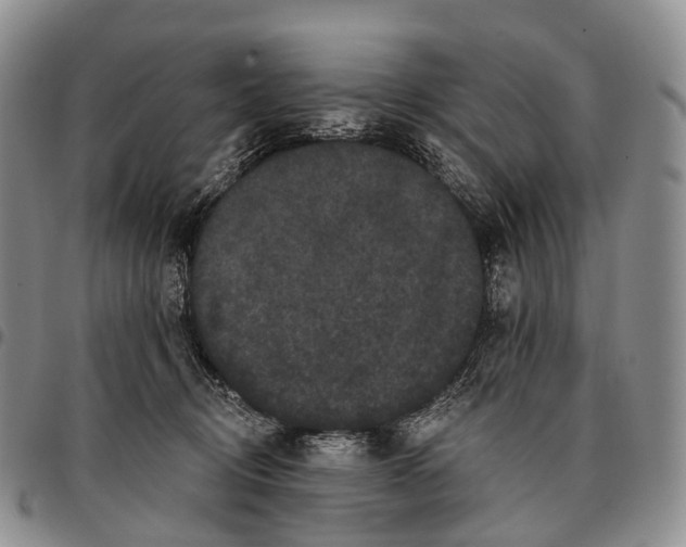 X0000096720370200803041406