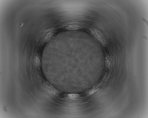 X0000096720371200803041406