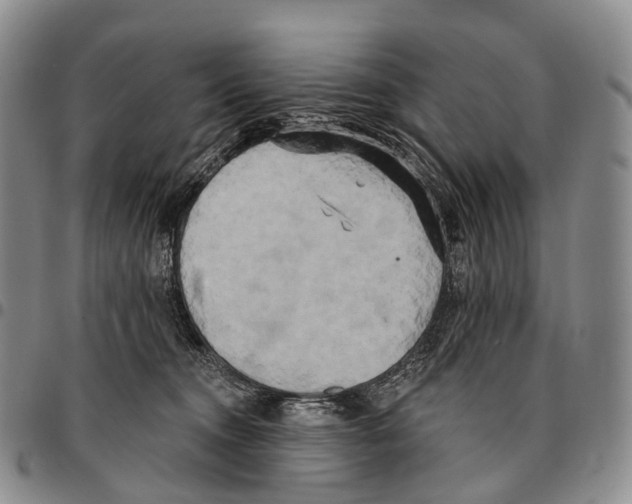 X0000096720372200803041406