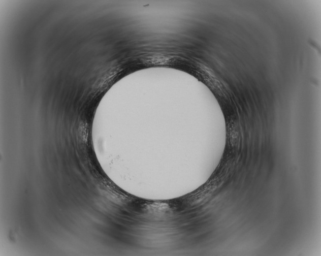 X0000096720374200803041406