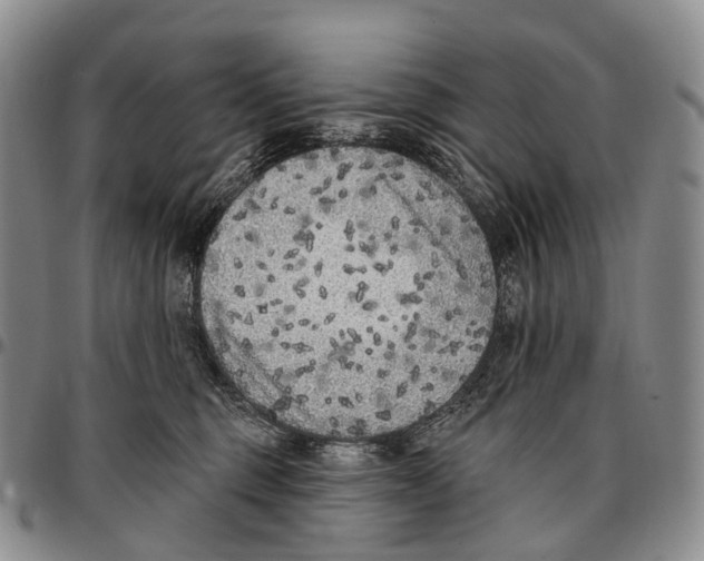 X0000096720375200803041406