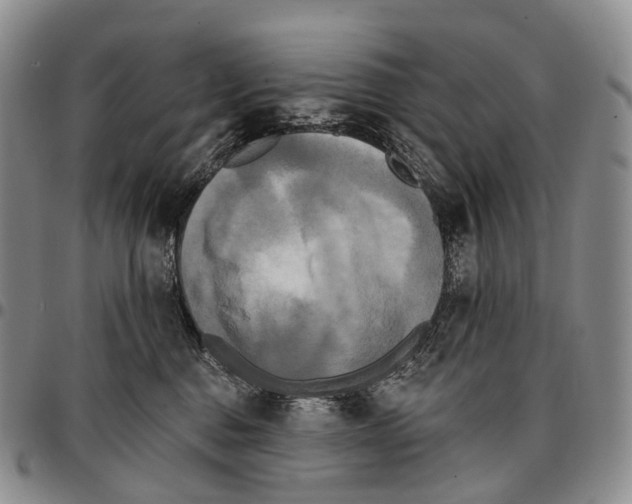 X0000096720376200803041406