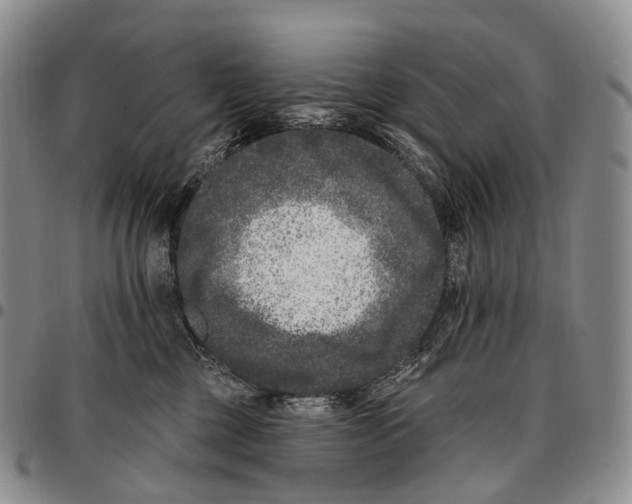 X0000096720377200803041406