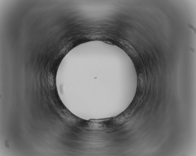 X0000096720380200803041406