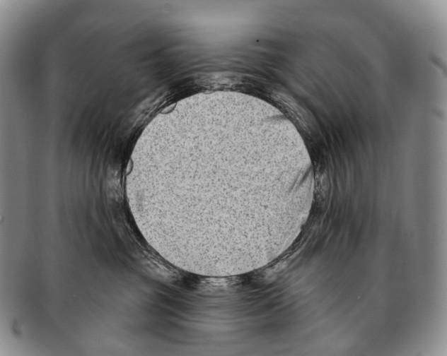 X0000096720381200803041406