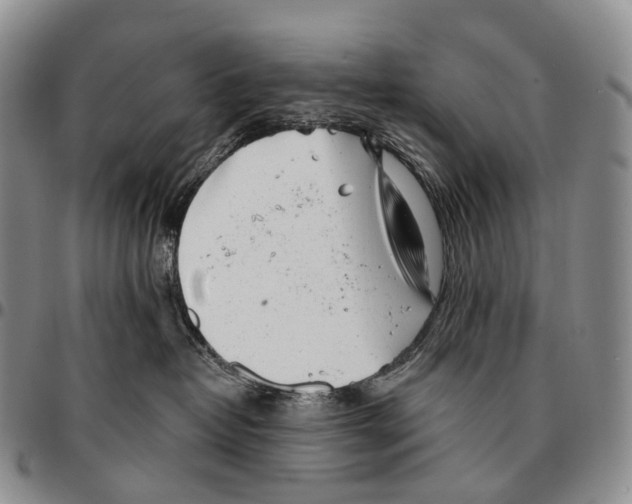 X0000096720382200803041406