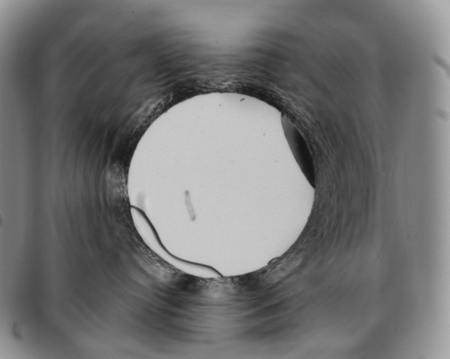 X0000096720384200803041406