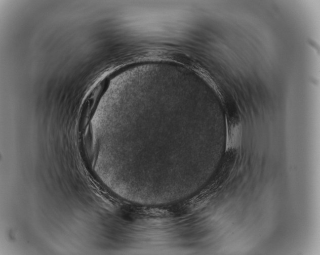 X0000096720387200803041406