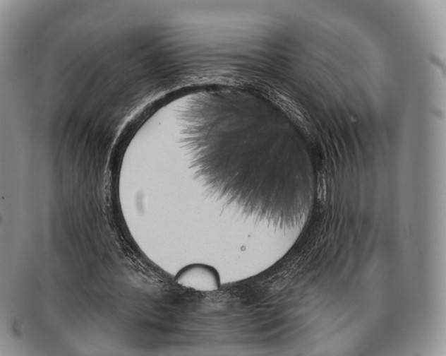 X0000096720388200803041406