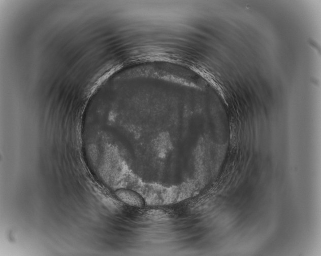 X0000096720390200803041406