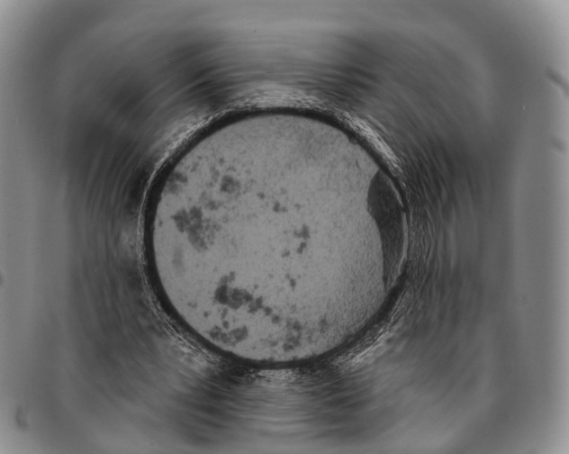 X0000096720391200803041406