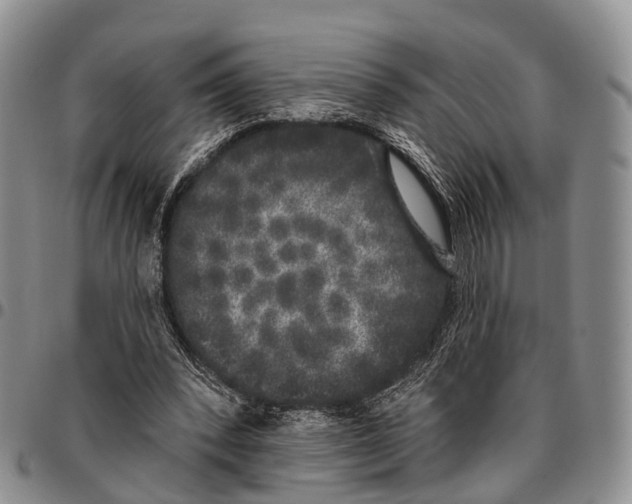 X0000096720392200803041406