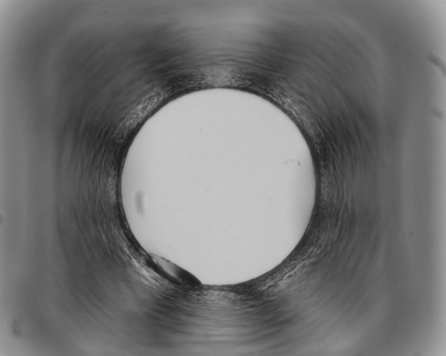 X0000096720393200803041406