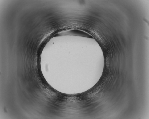 X0000096720396200803041406