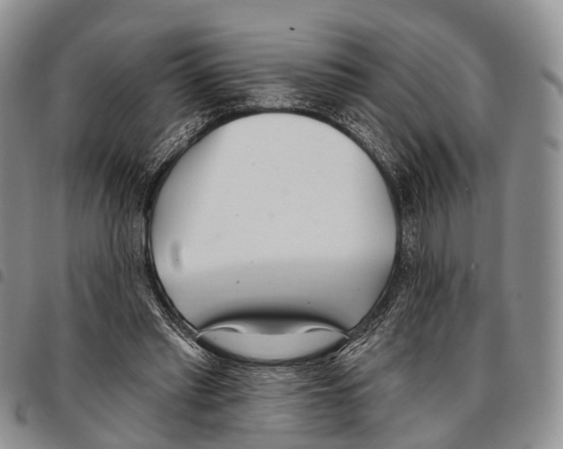 X0000096720397200803041406