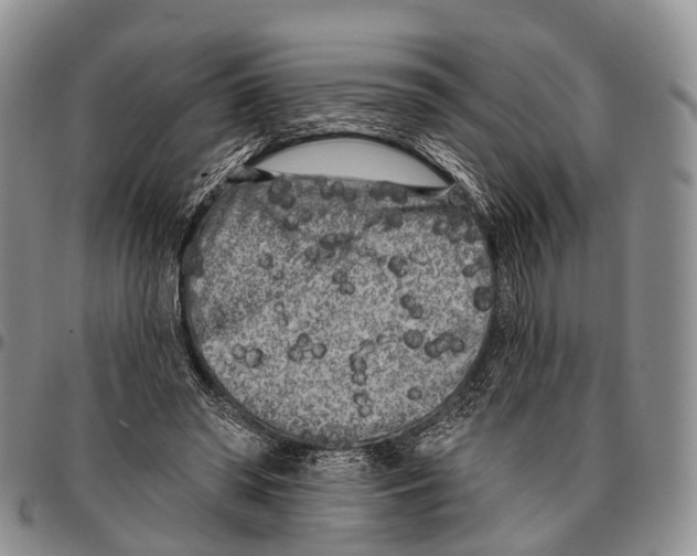 X0000096720398200803041406