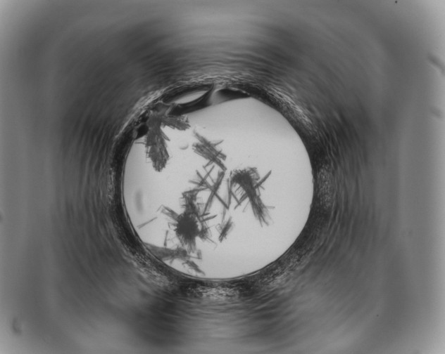 X0000096720400200803041406