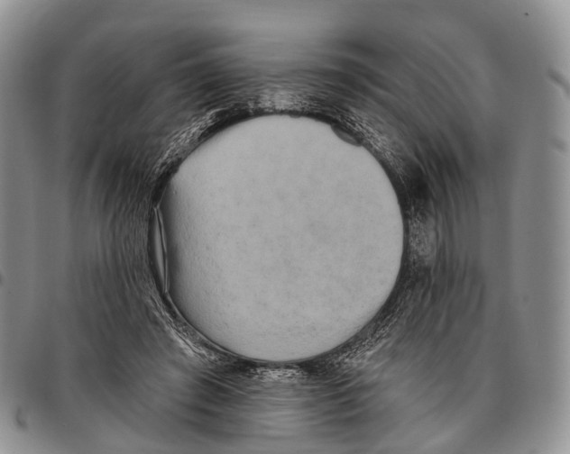 X0000096720401200803041406