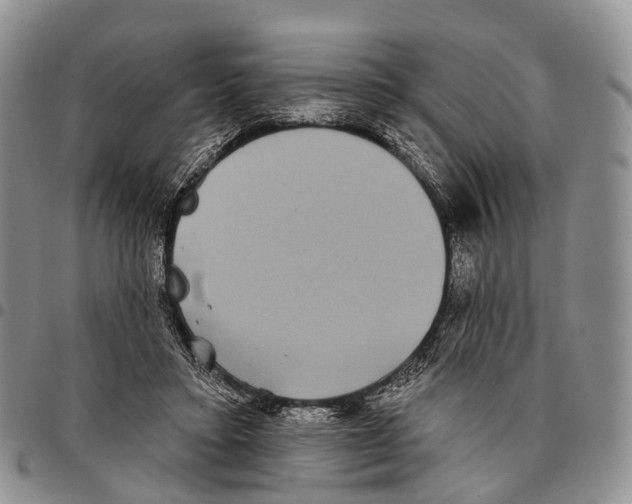 X0000096720403200803041406