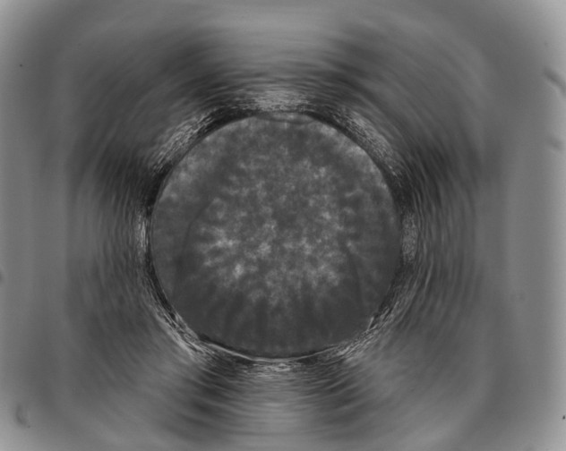 X0000096720405200803041406