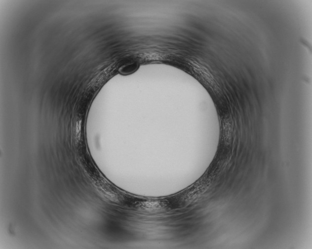 X0000096720406200803041406