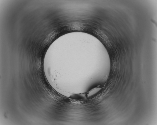 X0000096720407200803041406