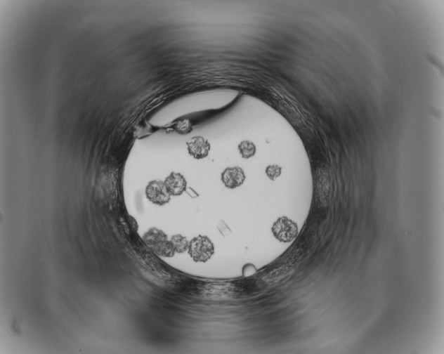 X0000096720410200803041406