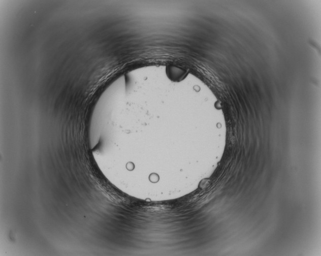 X0000096720411200803041406