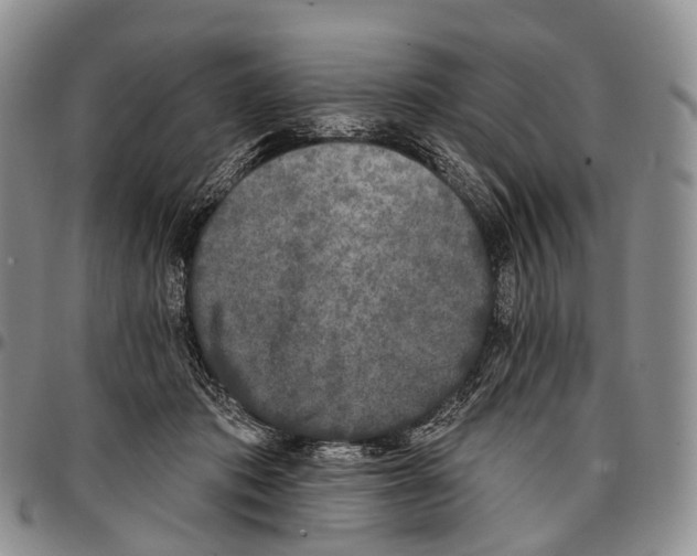 X0000096720413200803041406