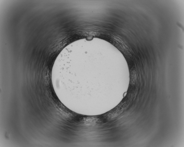 X0000096720414200803041406